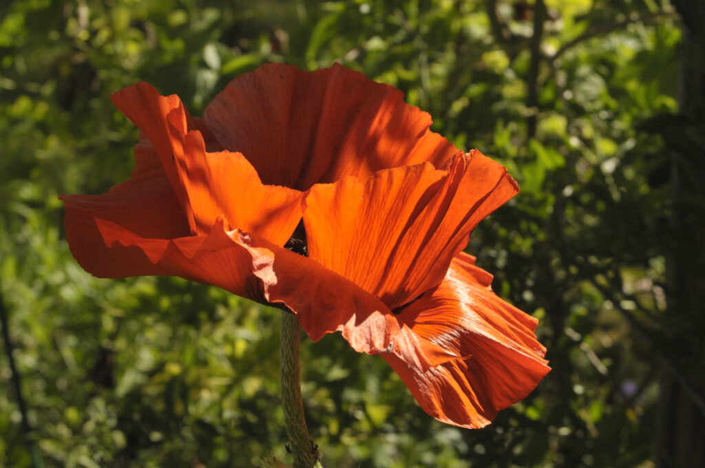 Selbstbewusstsein, Selbstwert und Selbstvertrauen: Unterschiede und Übungen