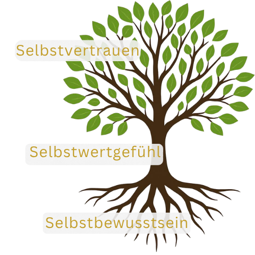 Baum-Grafik: Selbstbewusstsein als Wurzel, Selbstwertgefühl als Stamm, Selbstvertrauen als Äste.