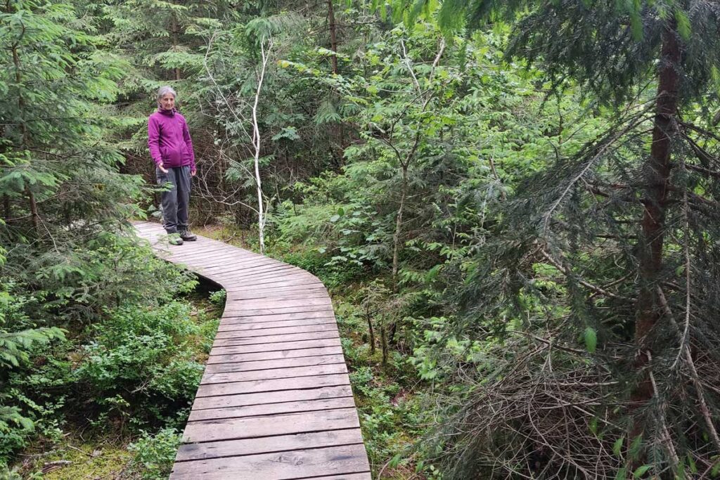 Ilona Riehl auf einem Holzweg. Sinnbild dafür, dass aus vermeintlichem Scheitern etwas Gutes entstehen kann.